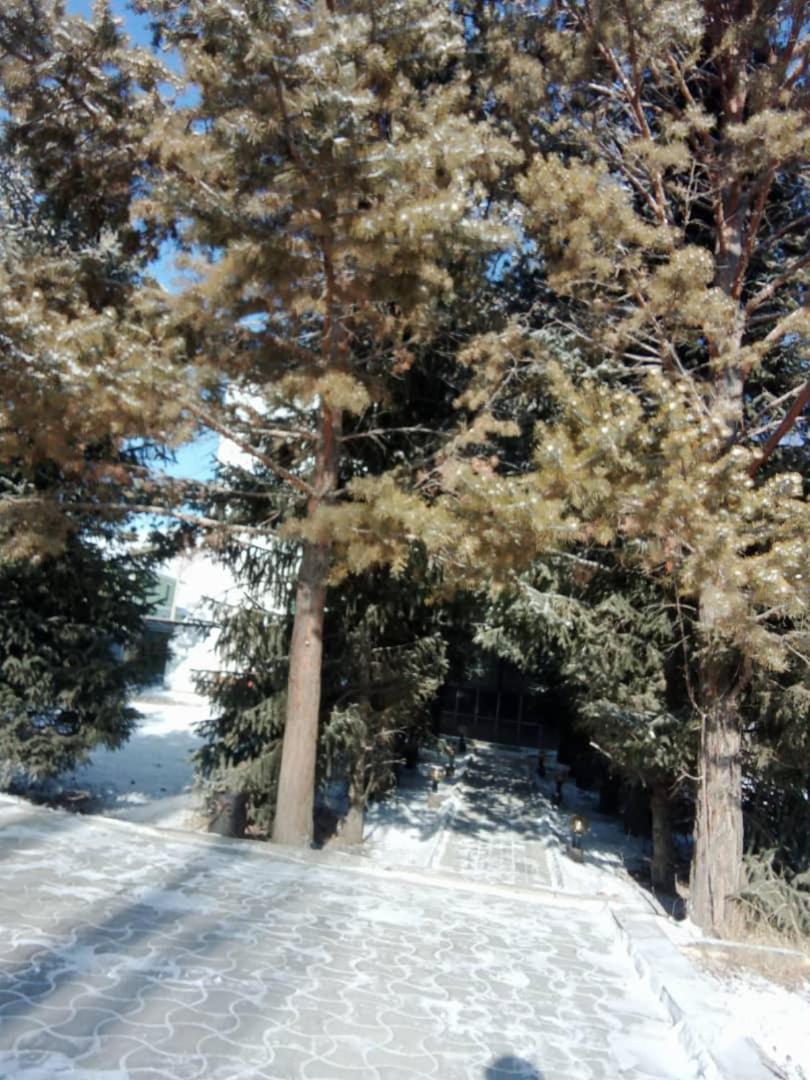 Naryn Aska Hotel מראה חיצוני תמונה